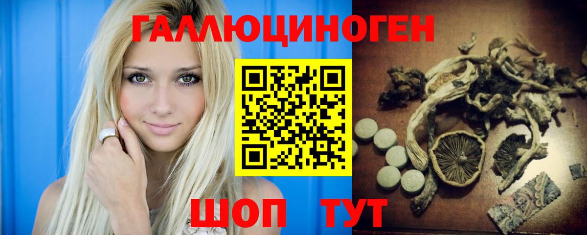 Галлюциногенные грибы Psilocybine cubensis  Псилоцибиновые грибы прущие грибы  Вход с VPN  Соликамск 